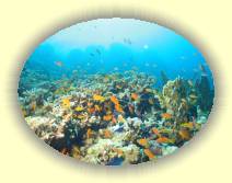 IMG_2007_05_26 18_44_19 * 2218 x 1666 * (578KB)